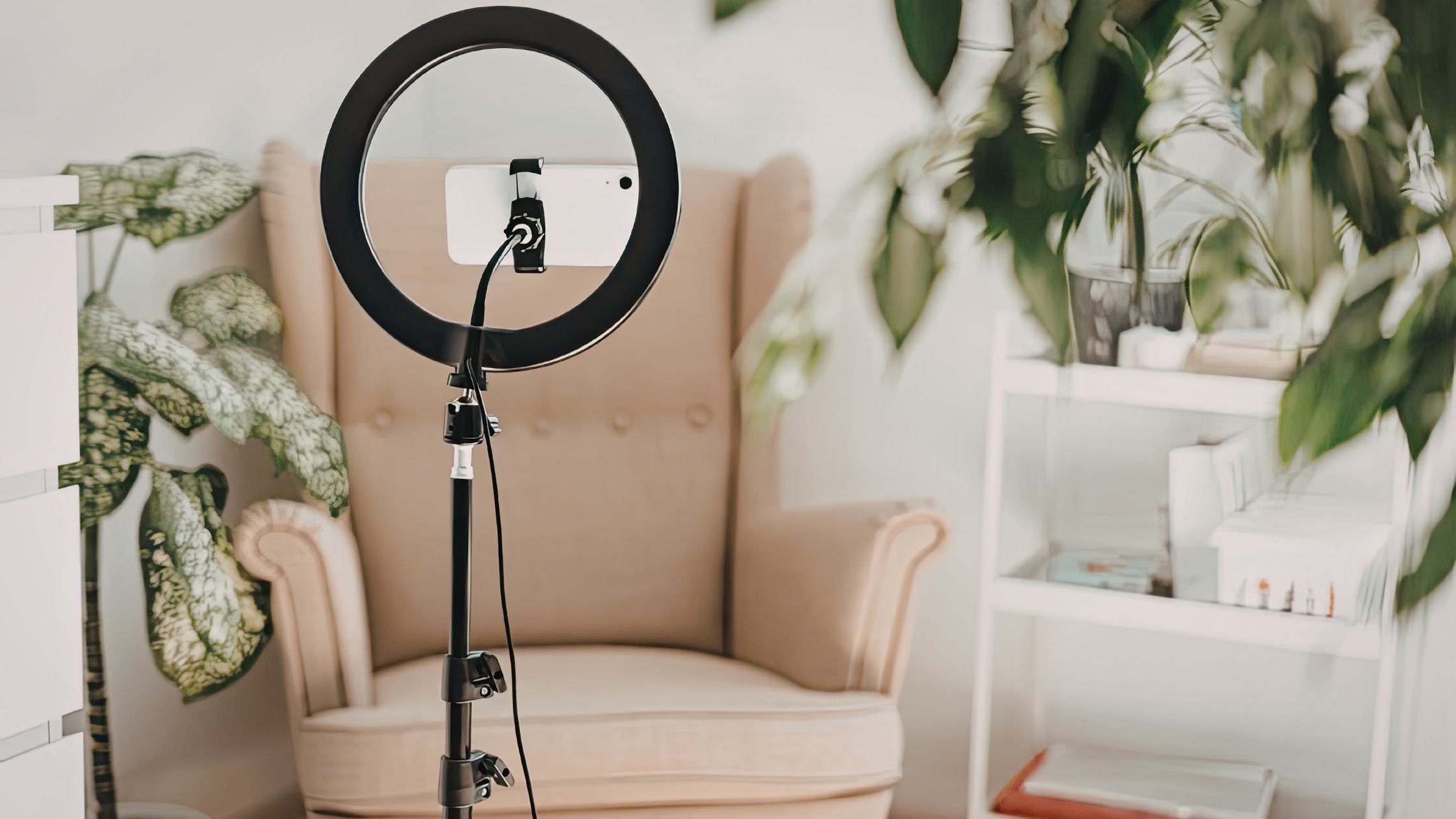 Ring light with a smartphone mounted in front of a beige armchair and houseplants, a simple content creator setup at home