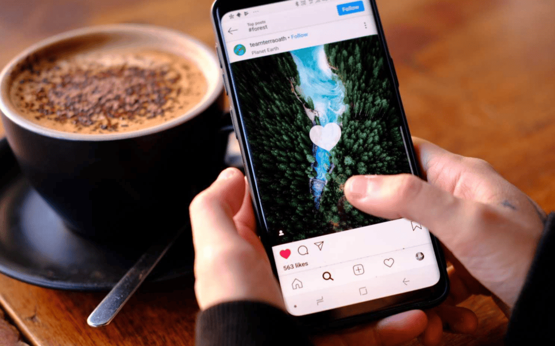 Stop Guessing Which Ads Will Work. Let Organic Tell You.