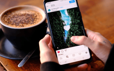 Stop Guessing Which Ads Will Work. Let Organic Tell You.
